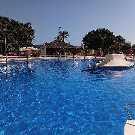 Sunny Place. Guardamar del Segura Εξωτερικό φωτογραφία